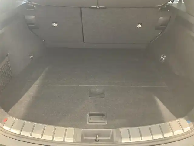 レクサス ＮＸ 250 バージョンL 熊本県 2023(令5)年 0.9万km 黒 純正ナビ（Bluetooth、地デジ）/360°カメラ/サンルーフ/パワーシート/シートヒーター/パワーバックドア/純正20インチアルミホイール/コーナーセンサー/LEDヘッドライト/