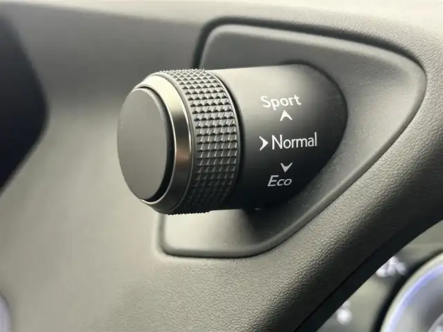 レクサス ＵＸ 250h アーバンエレガンス 愛知県 2021(令3)年 4万km ソニッククォーツ レクサスセーフティー/純正SDナビ/全方位カメラ/アダプティブクルーズコントロール/ブラインドスポットモニター/パワーシート/ヒートヒーター/ステアリングヒート/パワーバックドア/ETC2.0/革巻きステアリング/合皮シート/パドルシフト/Bluetooth/フルセグTV/電子パーキング/パドルシフト/クリアランスソナー/フォグランプ