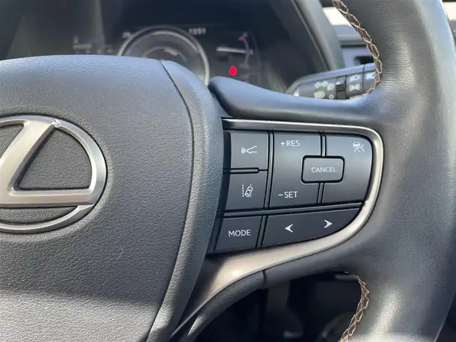 レクサス ＵＸ 250h バージョンC 鳥取県 2019(平31)年 5.5万km ソニックチタニウム 純正ナビ／フルセグ／ＤＶＤ／ＣＤ／ＢＴ/バックカメラ/ビルトインＥＴＣ/前後ドライブレコーダー/電動サンルーフ/ブラウンレザーシート/前席パワーシート/前席シートヒーター/プリクラッシュセーフティ/レーダークルーズコントロール/ＬＥＤヘットライト/純正フォグライト/前後クリアランスソナー/純正17インチアルミホイール/フロアマット