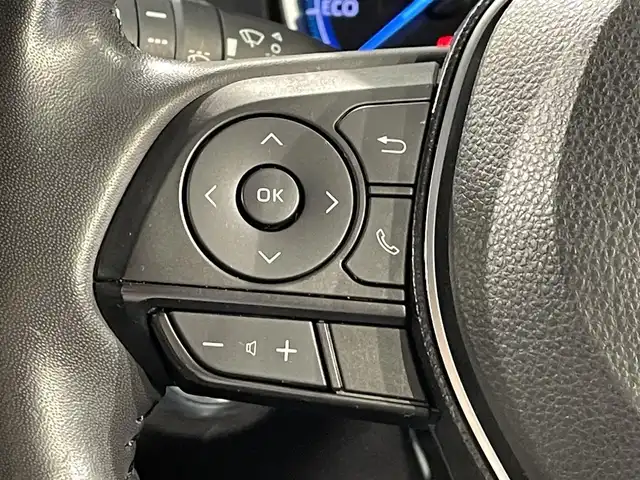 トヨタ ＲＡＶ４ ハイブリッドG 愛知県 2019(令1)年 6万km センシュアルレッドマイカ 純正９インチナビ/サンルーフ/プリクラッシュセーフティ/レーダークルーズコントロール/ブラインドスポットモニター/クリアランスソナー/レーントレーシングアシスト/パワーバックドア/電動パーキングアシスト/ブレーキホールド/レザーシート/パワーシート【メモリー機能付】/シートヒーター/ハンドルヒーター/バックカメラ/デジタルインナーミラー/前後ドライブレコーダー/ビルトインＥＴＣ2.0/アクセサリーソケット/オートハイビーム/LEDヘッドライト/純正フロアマット/純正18インチアルミホイール