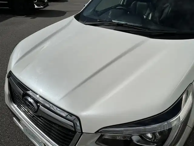 スバル フォレスター ハイブリッド アドバンス 山形県 2019(令1)年 8.1万km クリスタルホワイトP 純正ナビ/・フルセグTV/AM/FM/DVD//Bluetooth/4WD/禁煙車/追従式レーダークルーズコントロール/レーンキープアシスト/衝突被害軽減システム/バックカメラ/デジタルインナーミラー/前後コーナーセンサー/横滑り防止装置/パワーシートD/N/全席ヒートシーター/LEDヘッドライト/フォグランプ/ドアバイザー/ETC/保証書/取扱説明書