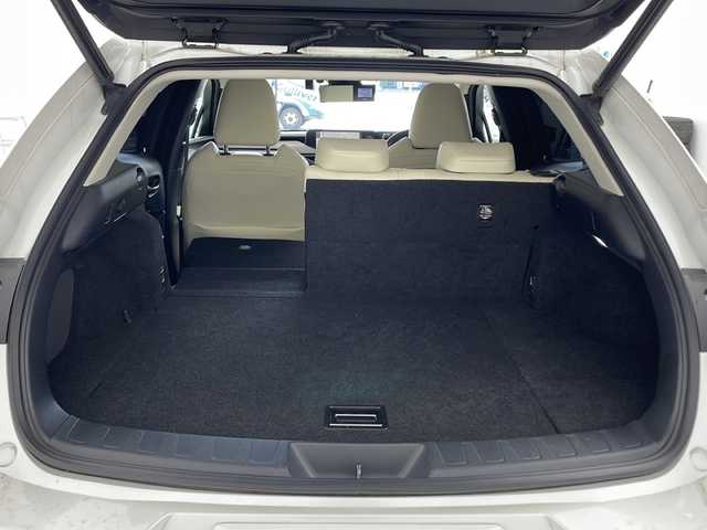 レクサス ＵＸ 250h バージョンL 兵庫県 2019(令1)年 6万km ソニッククォーツ ・純正ナビ/Bluetooth/SD/CD/DVD/AUX/USB/TV/・パノラミックビューモニター/・純正ビルドインETC2.0 /・LEXUSsafety/・プリクラッシュセーフティ/・レーダークルーズコントロール/・レーンキープアシスト/・先行車発進告知機能/・レーンチェンジアシスト/・レーントレーシングアシスト/・レーンディパーチャーアラート/・ブレードスキャンアダプティブハイビームシステム/・アダプティブハイビームシステム/・オートマチックハイビームシステム/・ロードサインアシスト/・発進遅れ告知機能/・ドライバー異常時対応システム/・プロアクティブドライビングアシスト/・フロントクロストラフィックアラート/・ブラインドスポットモニター（BSM）/・電動リアゲート/・前方ドライブレコーダー/・メモリーパワーシート/・レザーシート/・シートヒーター/・エアシート/・ステアリングヒーター/・純正フロアマット/・純正アルミホイール/・モデリスタエアロパーツ（フロント/サイド/リア）