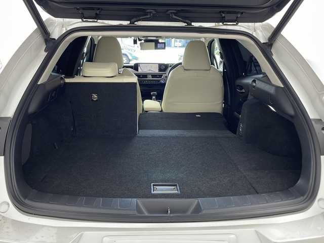 レクサス ＵＸ 250h バージョンL 兵庫県 2019(令1)年 6万km ソニッククォーツ ・純正ナビ/Bluetooth/SD/CD/DVD/AUX/USB/TV/・パノラミックビューモニター/・純正ビルドインETC2.0 /・LEXUSsafety/・プリクラッシュセーフティ/・レーダークルーズコントロール/・レーンキープアシスト/・先行車発進告知機能/・レーンチェンジアシスト/・レーントレーシングアシスト/・レーンディパーチャーアラート/・ブレードスキャンアダプティブハイビームシステム/・アダプティブハイビームシステム/・オートマチックハイビームシステム/・ロードサインアシスト/・発進遅れ告知機能/・ドライバー異常時対応システム/・プロアクティブドライビングアシスト/・フロントクロストラフィックアラート/・ブラインドスポットモニター（BSM）/・電動リアゲート/・前方ドライブレコーダー/・メモリーパワーシート/・レザーシート/・シートヒーター/・エアシート/・ステアリングヒーター/・純正フロアマット/・純正アルミホイール/・モデリスタエアロパーツ（フロント/サイド/リア）