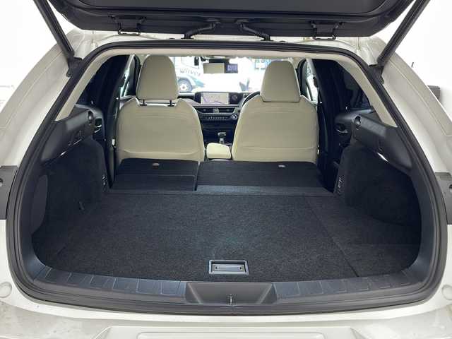 レクサス ＵＸ 250h バージョンL 兵庫県 2019(令1)年 6万km ソニッククォーツ ・純正ナビ/Bluetooth/SD/CD/DVD/AUX/USB/TV/・パノラミックビューモニター/・純正ビルドインETC2.0 /・LEXUSsafety/・プリクラッシュセーフティ/・レーダークルーズコントロール/・レーンキープアシスト/・先行車発進告知機能/・レーンチェンジアシスト/・レーントレーシングアシスト/・レーンディパーチャーアラート/・ブレードスキャンアダプティブハイビームシステム/・アダプティブハイビームシステム/・オートマチックハイビームシステム/・ロードサインアシスト/・発進遅れ告知機能/・ドライバー異常時対応システム/・プロアクティブドライビングアシスト/・フロントクロストラフィックアラート/・ブラインドスポットモニター（BSM）/・電動リアゲート/・前方ドライブレコーダー/・メモリーパワーシート/・レザーシート/・シートヒーター/・エアシート/・ステアリングヒーター/・純正フロアマット/・純正アルミホイール/・モデリスタエアロパーツ（フロント/サイド/リア）