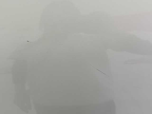 ホンダ ヴェゼル ハイブリッド Z ホンダセンシング 埼玉県 2016(平28)年 5.2万km ホワイトオーキッドパール ホンダセンシング/純正8インチメモリーナビ/ CD/DVD/BT/フルセグ/AppleCarPlay/USB/バックカメラ/ハーフレザーシート/シートヒーター/ルーフレール/LEDヘッドライト/純正17インチアルミホイール/パドルシフト/レーダークルーズコントロール/レーンキープアシスト/ETC/スマートキー×2/禁煙車