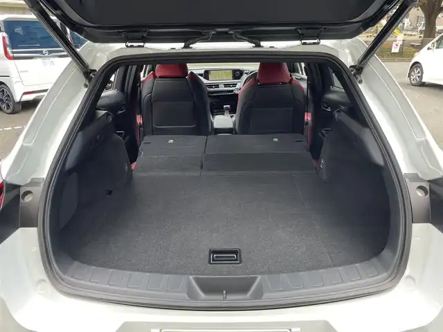 レクサス ＵＸ 250h Fスポーツ 神奈川県 2019(令1)年 1.9万km ホワイトノーヴァガラスフレーク TRDフルエアロ/TRDエアロフェンダー/TRDスポーツマフラー/サンルーフ/セーフティシステムプラス(予防安全パッケージ)/パーキングサポートブレーキ/ブラインドスポットモニター/ハンズフリーパワーバックドア/Ltexスポーツシート(レッド合皮)/シートヒーター(前席)/10.3インチナビ/CD/DVD/Bluetooth/地デジ/バックカメラ/スマートキー(スペアキー、カードキーあり)