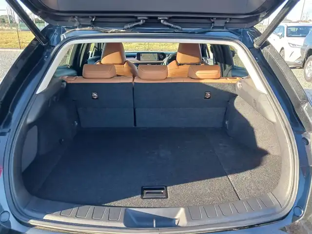 レクサス ＵＸ 250h ブラウンエディション 富山県 2020(令2)年 4.6万km グラファイトブラックガラスフレーク 純正10.3型ナビ/フルセグTV/ハンズフリーパワーバックドア/パノラミックビューモニター/ビルトインETC2.0/ドライブレコーダー/レーダークルーズコントロール/クリアランスソナー/セーフティシステムプラス/・プリクラッシュセーフティ/・レーントレーシングアシスト/・オートマチックハイビーム/・先行車発進告知機能/・ロードサインアシスト/ブラインドスポットモニター/パーキングサポートブレーキ/LEDヘッドランプ/革巻きステアリング/ステアリングヒーター/ブラウン合皮シート/前席パワーシート/シートヒーター/純正17インチアルミホイール/スマートエントリー/スタートシステム/禁煙車