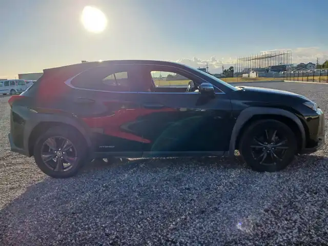 レクサス ＵＸ 250h ブラウンエディション 富山県 2020(令2)年 4.6万km グラファイトブラックガラスフレーク 純正10.3型ナビ/フルセグTV/ハンズフリーパワーバックドア/パノラミックビューモニター/ビルトインETC2.0/ドライブレコーダー/レーダークルーズコントロール/クリアランスソナー/セーフティシステムプラス/・プリクラッシュセーフティ/・レーントレーシングアシスト/・オートマチックハイビーム/・先行車発進告知機能/・ロードサインアシスト/ブラインドスポットモニター/パーキングサポートブレーキ/LEDヘッドランプ/革巻きステアリング/ステアリングヒーター/ブラウン合皮シート/前席パワーシート/シートヒーター/純正17インチアルミホイール/スマートエントリー/スタートシステム/禁煙車