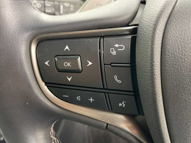 レクサス ＵＸ 250h バージョンC 道央・札幌 2020(令2)年 2.4万km マダーレッド ・4WD/・純正ナビ&CD&BT&TV&Miracast/・全方位カメラ/・パワーバックドア/・衝突軽減ブレーキ/・レーダークルーズコントロール/・黒レザーシート/・前席シートヒーター/・ステアリングヒーター/・前席パワーシート/・ドアミラーヒーター/・AC100V/・ビルトインETC/・TVキャンセラー/・クリアランスソナー/・LEDヘッドライト/・スマートキー/・スペアキー/・社外17インチAW/・純正AW付スタッドレス積載