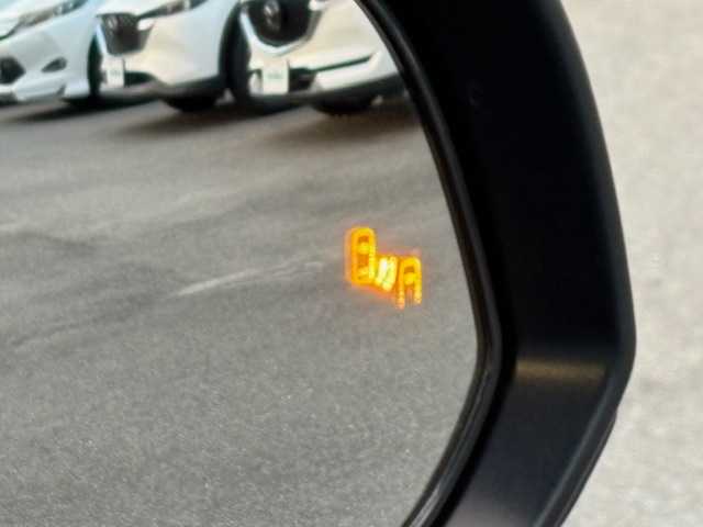 トヨタ アルファード Z 大阪府 2024(令6)年 1.8万km ブラック ナビ　/フルセグ　/Ｂｌｕｅｔｏｏｔｈ　/全方位カメラ　/ガラスルーフ　/１３．２型フリップダウンモニター　/デジタルインナーミラー　/ブラインドスポットモニター　/両側パワースライドドア/パワーバックドア/レザーシート　/シートヒータ　/エアーシート　/ＥＴＣ/純正マット/純正バイザー