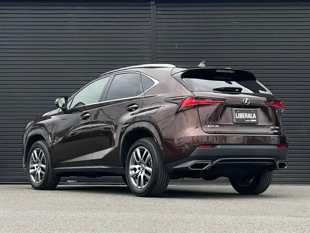 レクサス ＮＸ 300 バージョンL 山梨県 2019(平31)年 3.5万km アンバークリスタルシャイン ワンオーナー/茶革シート/全席シートヒーター/前席ベンチレーション/全席パワーシート/三眼LEDヘッドライト/オートハイビームアシスト/レーダークルーズコントロール/レーントーシングアシスト/ブラインドスポットモニター/パワーバックドア/フットオープナー/ヘッドアップディスプレイ/ETC2.0/純正メーカーナビ/アラウンドビューモニター/フルセグテレビ/前後ドラレコ/ミラー型レーダー探知機/