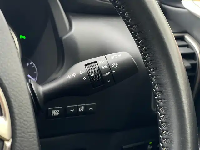 レクサス ＮＸ 300 バージョンL 山梨県 2019(平31)年 3.5万km アンバークリスタルシャイン ワンオーナー/茶革シート/全席シートヒーター/前席ベンチレーション/全席パワーシート/三眼LEDヘッドライト/オートハイビームアシスト/レーダークルーズコントロール/レーントーシングアシスト/ブラインドスポットモニター/パワーバックドア/フットオープナー/ヘッドアップディスプレイ/ETC2.0/純正メーカーナビ/アラウンドビューモニター/フルセグテレビ/前後ドラレコ/ミラー型レーダー探知機/