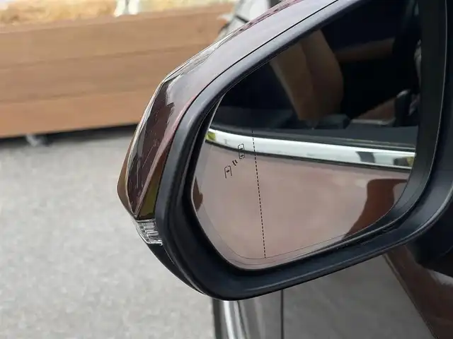 レクサス ＮＸ 300 バージョンL 山梨県 2019(平31)年 3.5万km アンバークリスタルシャイン ワンオーナー/茶革シート/全席シートヒーター/前席ベンチレーション/全席パワーシート/三眼LEDヘッドライト/オートハイビームアシスト/レーダークルーズコントロール/レーントーシングアシスト/ブラインドスポットモニター/パワーバックドア/フットオープナー/ヘッドアップディスプレイ/ETC2.0/純正メーカーナビ/アラウンドビューモニター/フルセグテレビ/前後ドラレコ/ミラー型レーダー探知機/