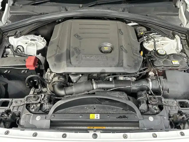 ジャガー Ｆペース ピュア 滋賀県 2019(令1)年 4万km 白 純正10インチメモリーナビ/ＭＥＲＩＤＩＡＮサウンドシステム/全周囲カメラ/バックカメラ/ドライブレコーダー前後/シートヒーターD/N/コーナーセンサー/アイドリングストップ/レーンキープアシスト/横滑り防止/電子パーキング/ステアリングスイッチ/オートライト/電動格納ミラー/電動リアゲート/シートメモリー/USB/ハンズフリーフォン/純正フロアマット/パワーシートD/N/スマートキー