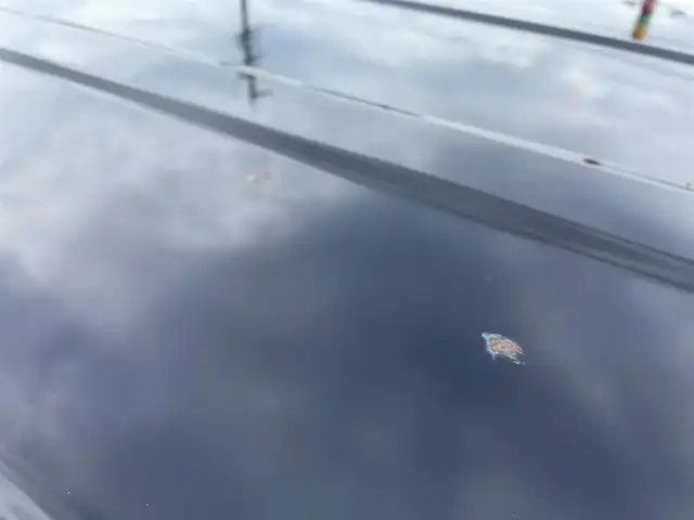 日産 デイズ ルークス ハイウェイスターX Gパッケージ 愛知県 2015(平27)年 4.8万km ブラック ・純正SDメモリーナビ/・全方位カメラ/・フルセグTV/・CD/DVD再生/・ETC/・Bluetooth/USB接続/・両側パワースライドドア/・純正フロアマット/・ベンチシート/・純正１５インチアルミホイール/・横滑り防止装置/・衝突軽減ブレーキ/・ドライブレコーダー（前）/・スマートキー/・プッシュスタート