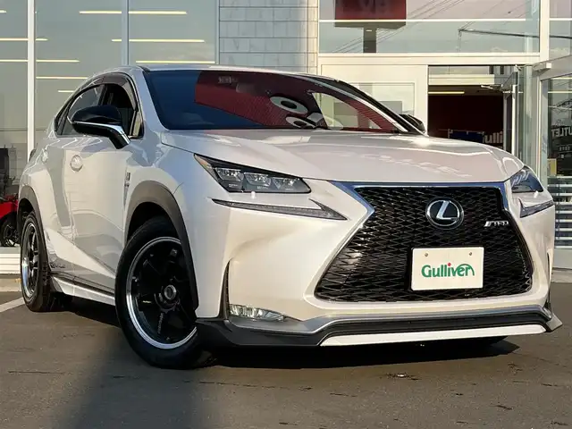 LEXUS NX300 Fスポーツ フロアマット 新品 車内アクセサリー