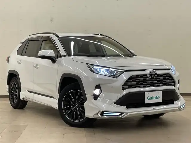 ヴィンテージ復刻 RAV4 モデリスタ - 通販 - thebodystudio.com.au