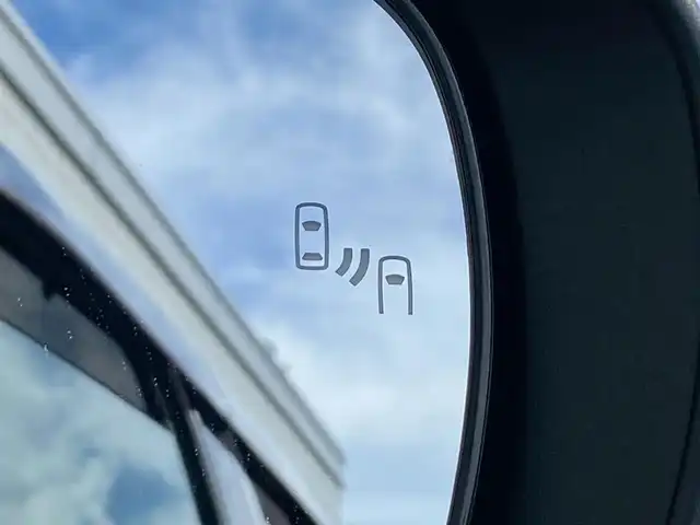 トヨタ ライズ Z 岐阜県 2020(令2)年 5.4万km ブラックマイカメタリック ブラインドスポットモニター　/ディーラー純正9インチSDナビ//Bluetooth/フルセグテレビ/CD/DVD　/全方位カメラ　/前後コーナーセンサー　/シーケンシャルウインカー　/純正17インチアルミホイール/ドアバイザー/保証書/取扱説明書/ナビ取扱説明書