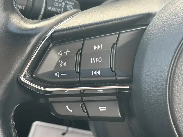 マツダ ＣＸ－８ XD Lパッケージ 熊本県 2018(平30)年 5.5万km ソウルレッドクリスタルM 純正ナビ/・AM/FM/CD/DVD/USB/AUX/BT/・フルセグTV/全周囲カメラ/・フロント/サイド/バック/アイドリングストップ/車間認知支援システム/スマートブレーキサポート/ブラインドスポットモニター/レーンキープアシストシステム/交通標識認識システム/ドライバーアテンションアラート/オートマチックハイビーム/アダプティブクルーズコントロール/ヘッドアップディスプレイ/前後コーナーセンサー/革巻きステアリング/・ステアリングリモコン/・ステアリングヒーター/レザーシート/・D/N席＋二列目シートヒーター/・D/N席エアシート/・D/N席パワーシート/・D席シートメモリー/BOSEサウンド/オートライト/・LEDライト/・フォグランプ/社外後席用モニター/パワーバックドア/電動格納ミラー/・ウィンカーミラー/前後ドライブレコーダー（ZDR-015）/電動サイドブレーキ/・オートホールドブレーキ/ETC/ルーフレール/ドアバイザー/純正フロアマット/純正アルミホイール/スマートキー/・スペアキー