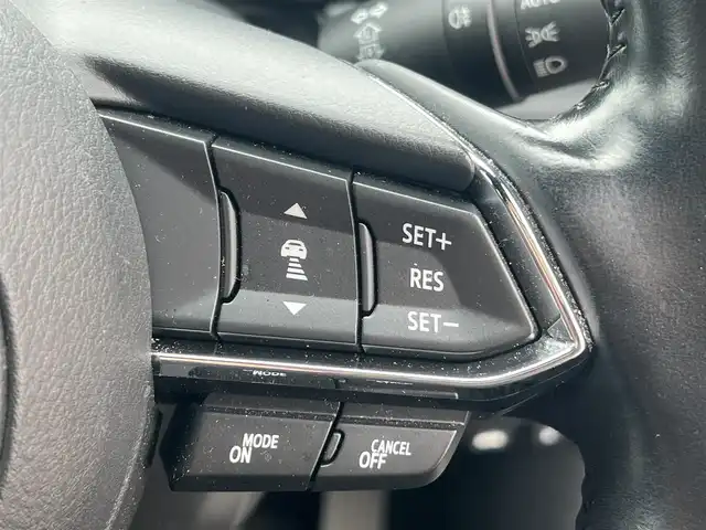 マツダ ＣＸ－８ XD プロアクティブ 秋田県 2018(平30)年 5.3万km チタニウムフラッシュマイカ 純正ナビ/衝突軽減システム/ディーゼルターボ/純正アルミ/フルセグ/全方位カメラ/スマートキー/アイドリングストップ/ダウンヒルアシストコントロール/コーナーセンサー/プッシュスタート/オートマチックハイビーム/パーキングアシスト/レーンキープアシスト/クルーズコントロール/ステアリングスイッチ/ステアリングヒーター/D席パワーシート/MTモード付AT/メモリー付パワーシート/前席シートヒーター/ドライブレコーダー/オートライト/ダブルオートエアコン/純正フロアマット/横滑り防止/パワーステアリング/パワーウィンドウ/電動格納ウィンカーミラー/保証書/取扱説明書/記録簿