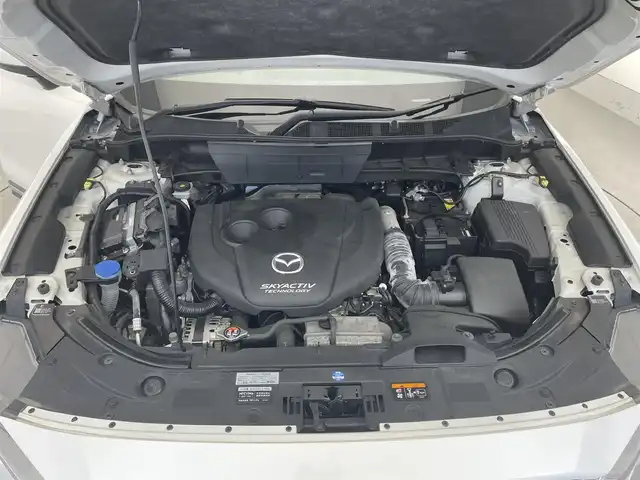 マツダ ＣＸ－８ XD Lパッケージ 大阪府 2017(平29)年 4.3万km スノーフレイクホワイトパールマイカ 禁煙車/純正ナビ/Bluetooth/CD/DVD/USB/フルセグテレビ/全方位カメラ/Boseサウンドシステム/アドバンストスマートシティブレーキサポート/ブラインドスポットモニター/レーダークルーズコントロール/スマートブレーキサポート/レーンキープアシスト/LEDヘッドライト/オートライト/ルーフレール/パワーバックドア/レザーシート/D/N席パワーシート/シートヒーター /プッシュスタート /スマートキー/スペアキー