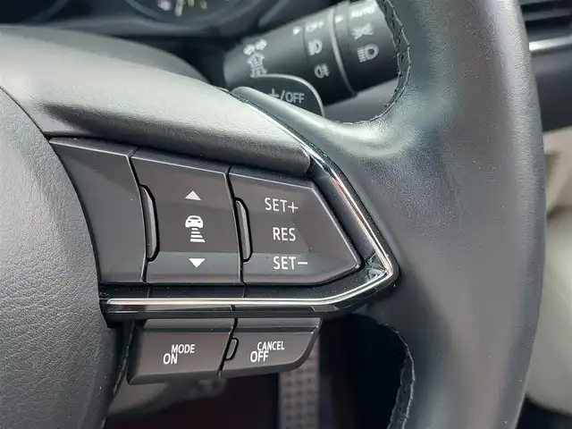 マツダ ＣＸ－８ XD 100周年特別記念車 東京都 2020(令2)年 3.7万km スノーフレイクホワイトパールマイカ 電動スライドガラスサンルーフ/BOSEプレミアムサウンドシステム/100周年記念車特別装備/・創立100周年記念スペシャルロゴ (ホイールキャップ、アドバンスドキー、フロントヘッドレスト等)/・レッドフロアカーペット/・パワーウォークイン機構/ i‐ACTIVSENSE/・スマートシティブレーキサポート/・車線逸脱警報システム/・レーンキープアシスト/・レーダークルーズコントロール/・誤発進抑制制御/・ブラインドスポットモニタリング/・アクティブドライビングディスプレイ/・360°ビューモニター/ルーフレール/プッシュスタート/アイドリングストップ/パドルシフト/純正ナビ/フルセグTV/ETC2.0/前後ドライブレコーダー/レザーシート/4wayパワーシート/運転席シートメモリー機能/パワーバックドア/シートヒーター/ベンチレーション/ステアリングヒーター/LEDヘッドライト