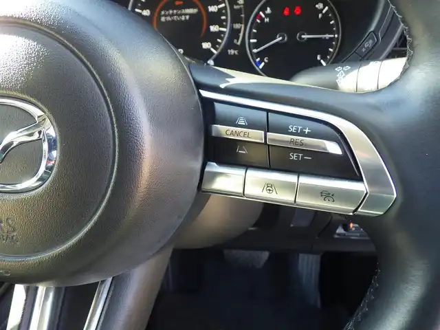 マツダ ＣＸ－３０ 20S プロアクティブツーリングセレ 千葉県 2020(令2)年 3.1万km ソウルレッドクリスタルM i-ACTIVSENSE/・スマートブレーキサポート/・ブラインドスポットモニタリング/・レーンキープ・アシスト・システム/・レーダークルーズコントロール/パワーバックドア/純正SDナビ/地デジTV/【DVD/CD再生機能　Bluetooth接続】/【Apple CarPlay　Android Auto対応】/バックカメラ/ドライブレコーダー/リバース連動ドアミラー（左）/革巻きステアリング/ステアリングヒーター/ステアリングスイッチ/ETC/LEDヘッドライト/ウインカーミラー/コーナーセンサー/純正18インチアルミホイル/サイド/カーテンエアバッグ/アドバンストキーレスエントリー