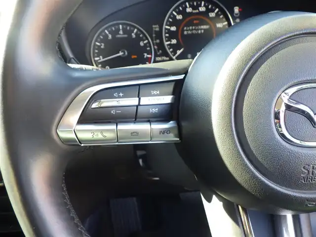 マツダ ＣＸ－３０ 20S プロアクティブツーリングセレ 千葉県 2020(令2)年 3.1万km ソウルレッドクリスタルM i-ACTIVSENSE/・スマートブレーキサポート/・ブラインドスポットモニタリング/・レーンキープ・アシスト・システム/・レーダークルーズコントロール/パワーバックドア/純正SDナビ/地デジTV/【DVD/CD再生機能　Bluetooth接続】/【Apple CarPlay　Android Auto対応】/バックカメラ/ドライブレコーダー/リバース連動ドアミラー（左）/革巻きステアリング/ステアリングヒーター/ステアリングスイッチ/ETC/LEDヘッドライト/ウインカーミラー/コーナーセンサー/純正18インチアルミホイル/サイド/カーテンエアバッグ/アドバンストキーレスエントリー