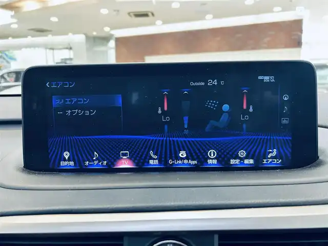 レクサス ＲＸ 300 Fスポーツ 大阪府 2020(令2)年 3.2万km グラファイトブラックガラスフレーク ムーンルーフ/HUD/赤黒レザー/パワーシート/Dシートメモリ/エアシートヒーター/ステアリングヒーター/純正ナビ/TV/バック・サイドカメラ/純正20インチAW/三眼LEDヘッドライト/ACC/ブラインドスポット/電動リアゲート/クリアランスソナー/ETC/ドラレコ