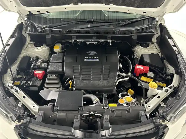 スバル フォレスター ハイブリッド X－ブレイク 神奈川県 2023(令5)年 1.4万km クリスタルホワイトP アイサイト/純正ナビ/・BT/フルセグTV/CD/DVD/SD/USB/バック/サイド/フロントカメラ/デジタルミラー/前後ドライブレコーダー/ETC/ハーフレザーシート/パワーシート(D/N)/メモリシート(D)/シートヒーター(D/N)/電動サイドブレーキ/オートブレーキホールド/パワーバックドア/SRH/スマートキー/プッシュスタートボタン/革巻きステアリング/ステアリングスイッチ/パドルシフト/Autoライト/ステアリングヒーター/ルーフレール/LEDヘッドライト/フォグランプ/純正フロアマット/純正17インチアルミホイール