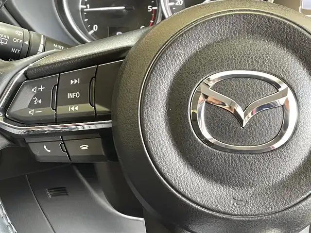 マツダ ＣＸ－５ XD プロアクティブ 岩手県 2017(平29)年 5.6万km ソウルレッドクリスタルM ４WD/ディーゼルターボ/BOSEサウンドシステム/オプション ドライビングポジションサポートパッケージ/アクティブドライビングディスプレイ/i-ACTIVSENSE/スマートブレーキサポート/スマートシティブレーキサポート/マツダレーダークルーズコントロール/レーンキープアシストシステム/交通標識認識機能/アダプティブLEDヘッドライト/パーキングセンサー/誤発進抑制機能/横滑り防止装置/アイドリングストップ/パワーリアゲート/運転席パワーシート/シートヒーター/ステアリングヒーター/純正ナビ/フルセグTV/バック・サイドモニター/ETC/リヤフォグランプ/純正１９インチアルミホイール