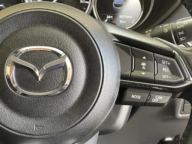 マツダ ＣＸ－５ XD プロアクティブ 岩手県 2017(平29)年 5.6万km ソウルレッドクリスタルM ４WD/ディーゼルターボ/BOSEサウンドシステム/オプション ドライビングポジションサポートパッケージ/アクティブドライビングディスプレイ/i-ACTIVSENSE/スマートブレーキサポート/スマートシティブレーキサポート/マツダレーダークルーズコントロール/レーンキープアシストシステム/交通標識認識機能/アダプティブLEDヘッドライト/パーキングセンサー/誤発進抑制機能/横滑り防止装置/アイドリングストップ/パワーリアゲート/運転席パワーシート/シートヒーター/ステアリングヒーター/純正ナビ/フルセグTV/バック・サイドモニター/ETC/リヤフォグランプ/純正１９インチアルミホイール