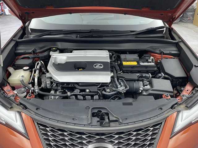 レクサス ＵＸ 200 Fスポーツ 栃木県 2018(平30)年 1.3万km ブレージングカーネリアンコントラストレイヤリング トヨタセーフティセンス/・プリクラッシュセーフティ/・レーントレーシングアシスト/・レーンディパーチャーアラート/・ロードサインアシスト/・レーダークルーズコントロール/・オートマチックハイビーム/・先行車発進アラーム/・プロアクティブドライビングアシスト/・レーンチェンジアシスト/・緊急時操舵支援/禁煙車/サンルーフ/シートヒーター/ハンドルヒーター/シートクーラー/アクティブサウンドコントロール/社外レーダー/LEDヘッドライト/フォグライト/社外ドラレコ/電動リアゲート/シートメモリ/ETC/スマートキー/パドルシフト/純正Fスポーツ専用フロアマット