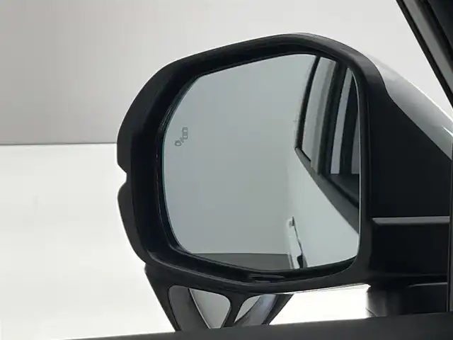 ホンダ ステップワゴン eHEV エアー EX 愛知県 2025(令7)年 0.1万km未満 プラチナホワイトパール 登録済未使用車　純１１型ナビ　フルセグＴＶ　Ｂｌｕｅｔｏｏｔｈ　バックカメラ　ホンダセンシング　ＢＳＭ　追従クルコン　衝突軽減　オートハイビーム　パワーバックドア　全列ＵＳＢポート　ＬＥＤオートライト/e:HEV エアー　EX　4CB4AP3　11.4インチナビHonda CONNECTナビ LXM-247VFLi(317900円)