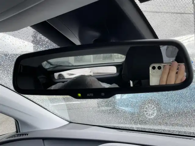 トヨタ プリウス A ツーリングセレクション 新潟県 2016(平28)年 9.5万km グレーメタリック ワンオーナー/社外ホイールスタッドレス装着/純正ホイール夏タイヤ車載/メモリナビ/ワンセグテレビ/バックカメラ/クルーズコントロール/ドアバイザー/プッシュスタート/ETC/純正フロアマット/スペアキー1個
