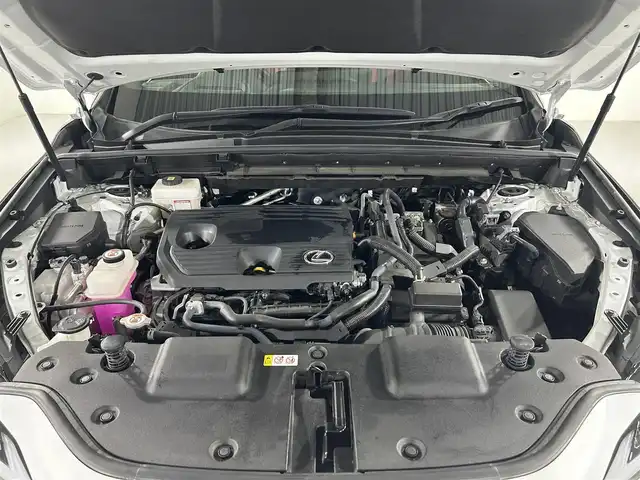 レクサス ＮＸ 佐賀県 2023(令5)年 1.2万km ホワイトノーヴァガラスフレーク 純正14インチディスプレイオーディオ/CD/DVD/フルセグTV/Bluetooth/パノラマルーフ/TRDエアロ/レクサスチームメイト/プリクラッシュセーフティ/レーンディパーチャーアラート/クリアランスソナー/ロードサインアシスト/パーキングサポートブレーキ/ブラインドスポットモニター/リアクロストラフィックアラート/ヘッドアップディスプレイ/リアカメラディテクション/三眼LEDヘッドライト/後席電動格納機能/デジタルインナーミラー/オレンジキャリパー/パドルシフト/レザーシート/河ハンドル/前席パワーシート/前席シートヒーター/前席シートベンチレーション/前後ドライブレコーダー/ビルトインETC2.0/スマートキー/スペアキー/純正フロアマット/USB入力端子/タイプC充電/純正20インチアルミホイール