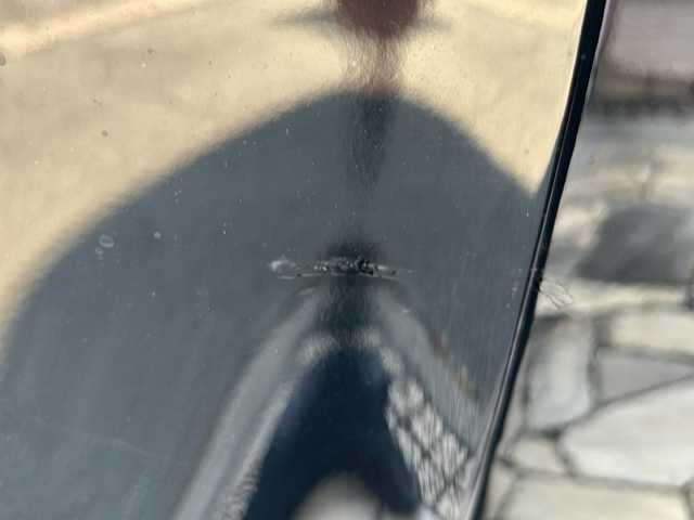 レクサス ＮＸ 300h Fスポーツ 静岡県 2018(平30)年 10.5万km ブラック 純正メモリナビ/・CD/・DVD/・フルセグＴＶ/・Bluetooth/・USB/・Miracast/・AUX/・AM/・FM/安全装備/・衝突軽減/・レーンキープ/・追従クルコン/・コーナーセンサー前後/・バックカメラ/・BSM/主要装備/・サンルーフ/・マークレビンソンサウンド/・電動リアゲート/・ETC2.0/・ルーフレール/・パワーシート全席/・シートヒーターD/N席/・エアシートD/N席/・ハンドルヒーター/・パドルシフト/・LEDヘッドライト/・オートライト/・オートハイビーム/・フォグランプ/・電動パーキングブレーキ/・オートホールド/・純正フロアマット/・純正アルミホイール