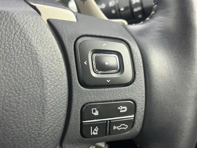 レクサス ＮＸ 300 バージョンL 愛知県 2018(平30)年 3.1万km ソニッククォーツ 純正メモリーナビ/（CD/DVD/BT/フルセグ）/三眼ヘッドライト/パワーバックドア/全席シートヒーター/前席シートクーラー/前席パワーシート/ステアリングヒーター/バックカメラ/ETC2.0/クルーズコントロール/レクサスセーフティシステム/BSM/コーナーセンサー/パドルシフト/純正フロアマット/純正AW