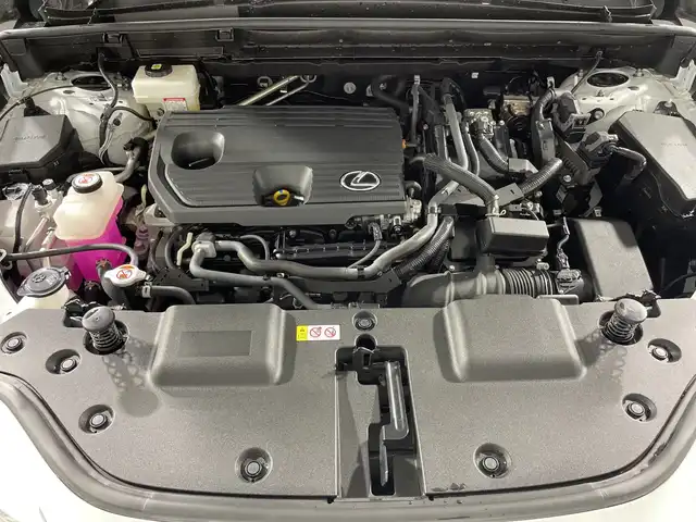 レクサス ＮＸ 350h Fスポーツ 神奈川県 2023(令5)年 1.6万km ホワイトノーヴァガラスフレーク ツインムーンルーフ/パノラミックビューモニター/三眼LEDヘッドライト/純正14インチディスプレイオーディオ/ナビ　フルセグ Bluetooth　CD　DVD　USB　MiraCast　apple car play　android auto/レクサスセーフティーシステム＋/プリクラッシュセーフティ (PCS)/交差点衝突回避支/緊急時操舵支援/プロアクティブドライビングアシスト (PDA)/発進遅れ告知機能 (TMN) /運転支援/レーダークルーズコントロール（全車速追従機能付）/レーントレーシングアシスト (LTA)/レーンチェンジアシスト (LCA)/ロードサインアシスト (RSA) /アダプティブハイビームシステム (AHS)/オートマチックハイビーム (AHB) /パーキングサポートブレーキ (PKSB) /ドライバー異常時対応システム /レクサスチームメイト/パーキングアシスト/アドバンストパーク/パワーシート（D＋N席）/シートヒーター（全席）/ベンチレーション（D＋N席）/デジタルインナーミラー/ビルトインETＣ2.0/社外前後ドライブレコーダー/ブラインドスポットモニター/純正20インチアルミホイール