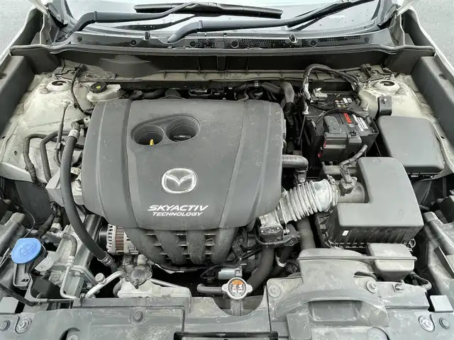 マツダ ＣＸ－３ 20SプロアクティブSパッケージ 岩手県 2019(令1)年 2.9万km スノーフレイクホワイトパールマイカ 禁煙車/4WD/全方位カメラ/ブラインドスポットモニター/追従型クルーズコントロール/ハンドルヒーター/前席シートヒーター/純正ナビ/→フルセグTV/Bluetooth/CD/DVD/FM/AM/バックカメラ/ステアリングスイッチ/パドルシフト/運転席パワーシート/レーンキープアシスト/トラクションコントロール/コーナーセンサー/オートライト/HIDヘッドライト/フォグライト/〇プッシュスタート/〇電動格納ミラー/〇ウィンカーミラー/〇USBポート2つ/〇シガーソケット/〇ドアバイザー/〇フロアマット/夏タイヤ純正アルミ車載/前後ドライブレコーダー/ETC