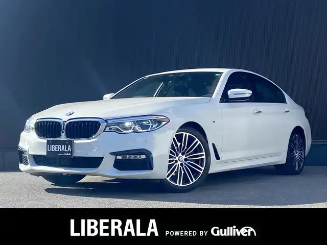 ＢＭＷ ５２３ｄ Mスポーツ 栃木県 2019(平31)年 4.4万km アルピンホワイトⅢ HUD/ACC/レーン/ブラインドS/全方位カメラ/純正ナビ/フルセグ /パワーシート/シートヒーター/電動リアゲート/ETC/LED/社外ドラレコ/純正19インチAW