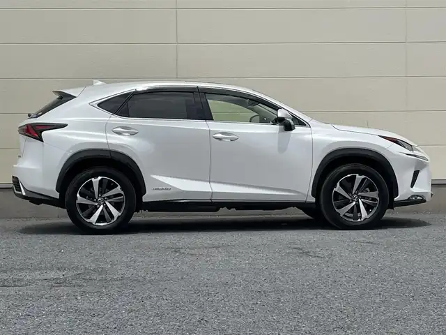 レクサス ＮＸ 300h Iパッケージ 茨城県 2018(平30)年 7.9万km ソニッククォーツ 後期型モデル/ワンオーナー/革巻きステアリング/ヘッドアップディスプレイ/パノラミックビューカメラ/BSM/レクサスセーフティセンス/レーダークルーズコントロール/レーザーシート/シートヒーター/サンルーフ/レーンキープアシスト/パワーバックドア/三眼LEDヘッドライト/ETC/パワーメモリーシート/ドライブレコーダー