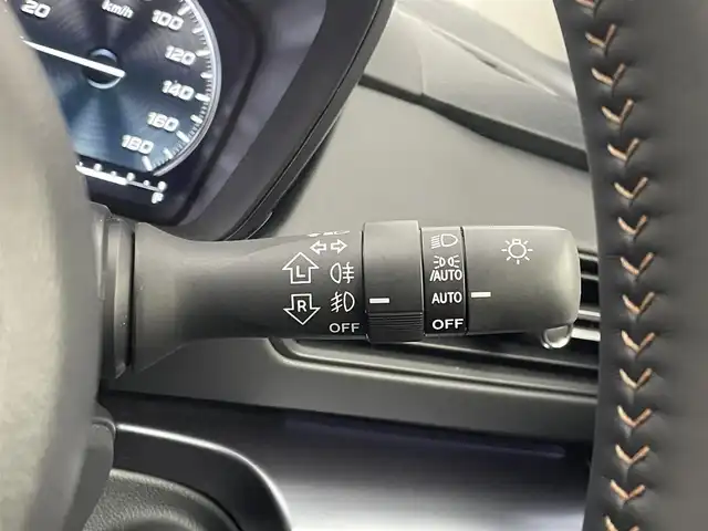 スバル レイバック リミテッド EX 埼玉県 2025(令7)年 0.6万km クリスタルブラックシリカ アイサイト　純正１１．６インチナビ　デジタルマルチビューモニター　ビルトインＥＴＣ　ドライブレコーダー　レーダークルーズコントロール　デジタルインナーミラー　メモリシート　オートハイビーム　ＬＥＤ