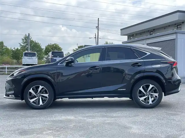 レクサス ＮＸ 300h スパイス&シック 道央・札幌 2020(令2)年 5万km グラファイトブラックガラスフレーク ４WD/ワンオーナー/純正メーカーナビ/CD/DVD/BT/フルセグ/プリクラッシュセーフティ/横滑り防止装置/レーダークルーズコントロール/レーンキープアシスト/クリアランスソナー/ブラインドスポットモニター/パーキングサポートブレーキ/ロードサインアシスト/パノラミックビューモニター/ビルトインETC2.0/ドライブレコーダー/自動防眩ミラー/DRIVEMODE切替/EVMODE/パワーバックドア/前席パワーシート/前席シートヒーター/前席エアシート/D席メモリーシート/レザーシート/革巻きステアリング/ステアリングリモコン/パドルシフト/ハンドルヒーター/AC100V/HUD/電動パーキング/ブレーキホールド/MTモード付AT/プッシュスタート/スマートキー/LEDヘッドライト/オートライト/オートハイビーム/フォグランプ/電動格納ミラー/ヒーテッドドアミラー/ウィンカーミラー/純正フロアマット/スペアキー