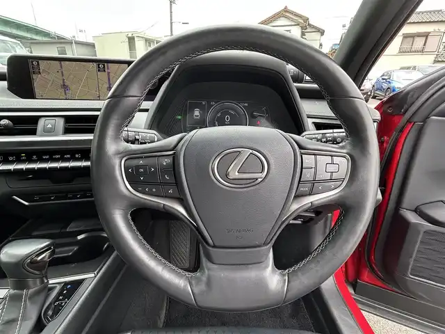 レクサス ＵＸ 250h バージョンC 愛知県 2019(令1)年 4.3万km マダーレッド メーカーナビ（AM/FM/フルセグ/BT/CD/DVD）/サンルーフ/ハーフレザーシート/D/N席シートヒーター・クーラー/D/N席パワーシート/D席シートメモリー/レクサスセーフティシステム/・プリクラッシュセーフティ/・レーンキープアシスト/・ブラインドスポットモニター/・レーダークルーズコントロール/アラウンドビューモニター/LEDヘッドライト/純正１７インチアルミ