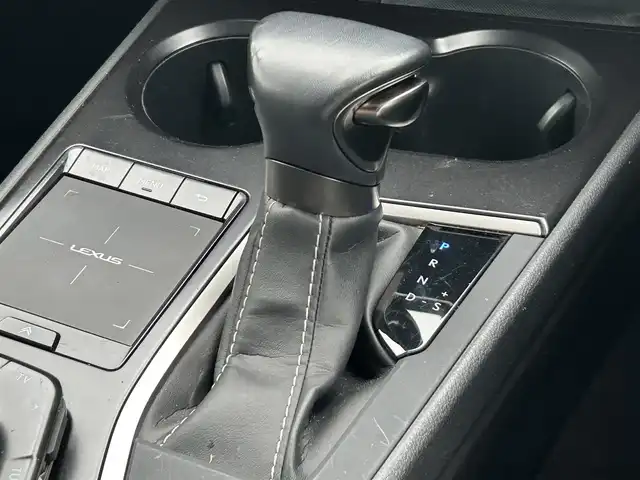 レクサス ＵＸ 250h バージョンC 愛知県 2019(令1)年 4.3万km マダーレッド メーカーナビ（AM/FM/フルセグ/BT/CD/DVD）/サンルーフ/ハーフレザーシート/D/N席シートヒーター・クーラー/D/N席パワーシート/D席シートメモリー/レクサスセーフティシステム/・プリクラッシュセーフティ/・レーンキープアシスト/・ブラインドスポットモニター/・レーダークルーズコントロール/アラウンドビューモニター/LEDヘッドライト/純正１７インチアルミ