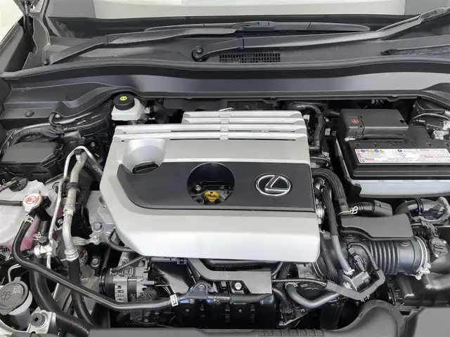 レクサス ＵＸ 200 バージョンC 滋賀県 2022(令4)年 4.8万km ソニックチタニウム 禁煙車/純正メモリナビ/（DVD/CD/FM/AM/Bluetooth/フルセグテレビ）/全周囲カメラ/衝突軽減ブレーキ/レーンキープアシスト/クルーズコントロール/パドルシフト/ハンドルヒーター/革巻きステアリング/ステアリングリモコン/メモリシート（D席+N席）/パワーシート（D席+N席）/シートヒーター（D席+N席）/コーナーセンサー/LEDヘッドライト/オートライト/ETC/ドライブレコーダー/オートエアコン/スマートキー/プッシュスタート/12V電源/盗難防止装置/USBジャック/純正17インチアルミホイール/純正フロアマット
