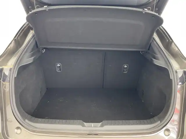 マツダ ＣＸ－３０ 20S プロアクティブ 群馬県 2020(令2)年 3.1万km チタニウムフラッシュマイカ 純正８．８型ナビ　ＣＤ／ＤＶＤ再生　バックカメラ　電動リアゲート　パドルシフト　純正前後ドラレコ　ビルトインＥＴＣ　電動パーキングブレーキ　アダプティブクルーズコントロール　ＢＳＭ　ＬＥＤ　禁煙車