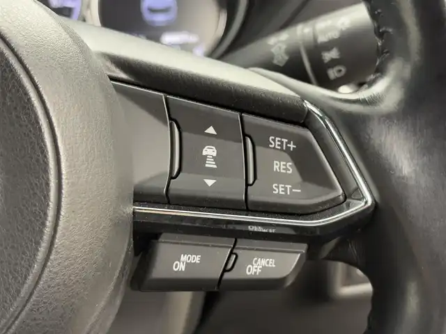 マツダ ＣＸ－８ XD プロアクティブ 岡山県 2018(平30)年 5万km ディープクリスタルブルーマイカ 11インチフリップダウンモニター/レーダークルーズコントロール/CD/DVDプレーヤー/シートヒーター/ステアリングヒーター/ビルトインETC/ブラインドスポットモニター/パワーシート/シートメモリ/オートハイビーム/スペアキー/純正ナビ/フルセグTV/パワーバックドア
