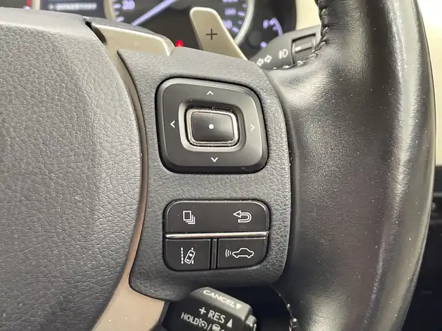 レクサス ＮＸ 300 Iパッケージ 栃木県 2019(令1)年 4.3万km ソニッククォーツ 純正ナビ/（CD/DVD/BT/フルセグTV）/バックカメラ/本革シート/レクサスセーフティシステム+/・衝突軽減システム/・レーンキープアシストシステム/・アダプティブクルーズコントロール/・オートハイビーム/・標識認識機能/コーナーセンサー/ETC2.0/パワーバックドア/パワーシート/シートヒーター/禁煙車/ステアリングヒーター/LEDヘッドライト/スマートキー/純正アルミホイール